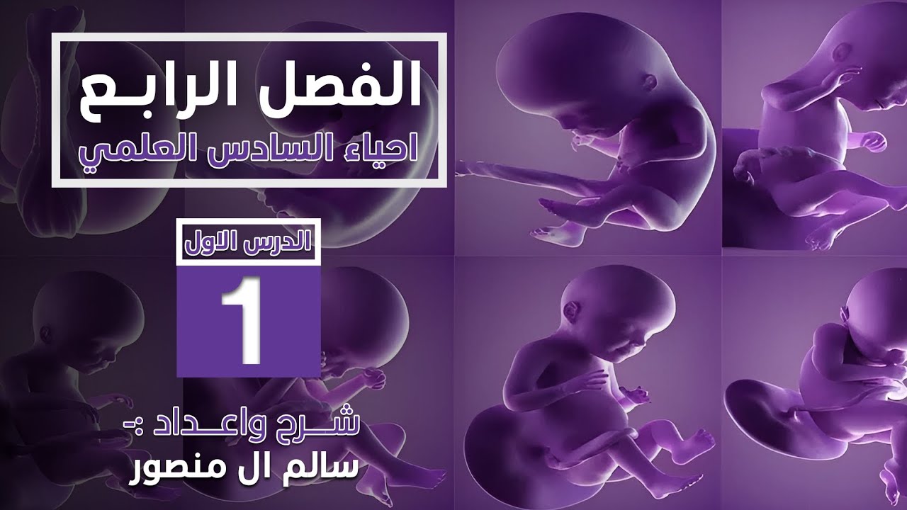 المحاضرة (1) | مفهوم النمو والتمايز الخلوي.