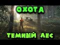 Охота в темном лесу - The Hunter Call of the Wild