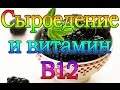 Сыроедение и витамин B12