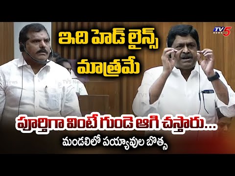 ఇది హెడ్ లైన్స్ మాత్రమే...Minister Payyavula Strong Counter To MLC Botsa In Council Meeting | TV5 - TV5NEWS