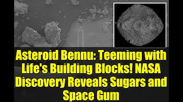 Asteroid Bennu: Teeming with Life