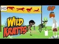 Wild kratts  olympic medley racing diving and swimming