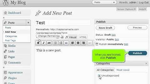 How to write a new post in Wordpress 3.0
