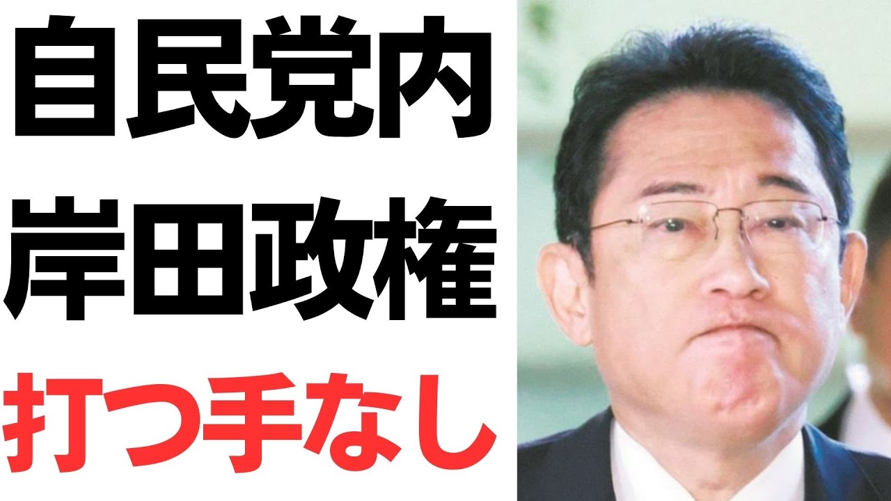 岸田政権支持率低下と自民党内の反応を扱う動画のサムネイル