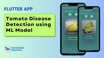 Tomato Leaf Disease Detection Flutter App using Teachable ML || Machine Learning || Flutter