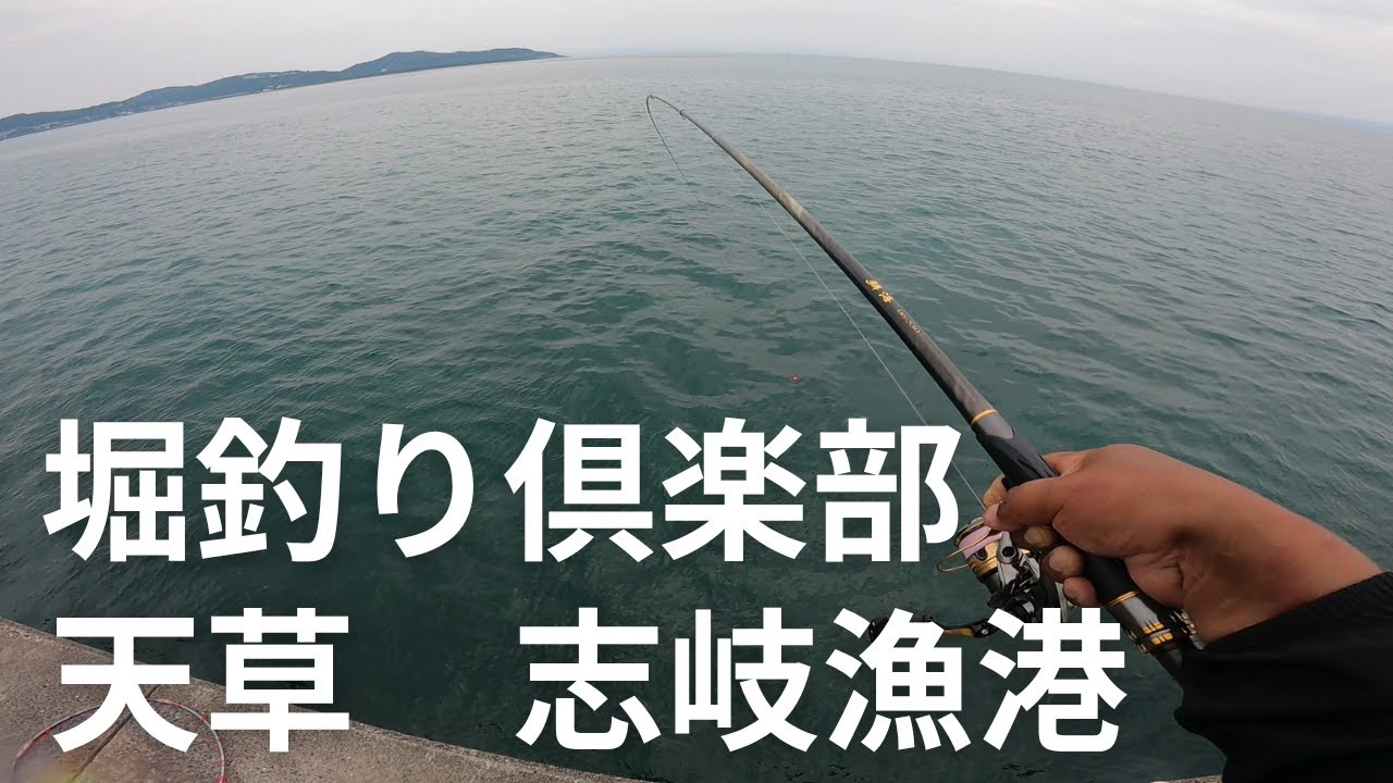 天草の志岐漁港でチヌが連発する