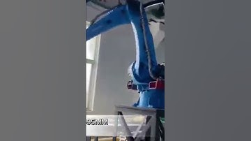 Palletizing robot