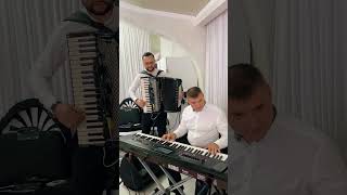 bradului La Muntei Place fragment 