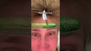 Neuer Rekord Gurke