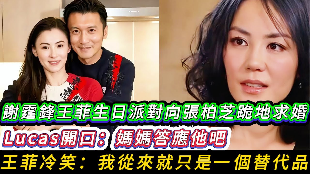 娛樂圈最狗血一幕！謝霆鋒在王菲生日派對向張柏芝跪地求婚，Lucas含淚說：爸爸終於做對了，王菲冷笑:我從來就只是一個替代品，竇靖童怒吼:你們瘋了！