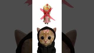 Кто такая пацанка? Кисы объясняют 😻