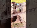 Effortless Steel Cutting: Powerful Mechanical Rebar Blade