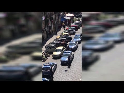 Napoli, pitbull aizzato contro gli agenti: la polizia spara, poi soccorre il cane che però muore