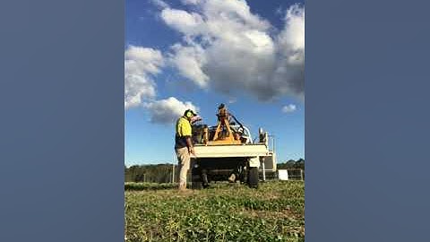 Ideal Geotech - Shrink swell sample taken for a Geotechnical Report