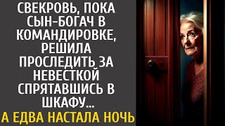 Свекровь, пока сын-богач в командировке, решила последить за невесткой из шкафа… А едва настала ночь