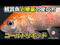 【魚病薬の使い方】観賞魚用治療薬「グリーンFゴールドリキッド」