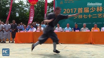 72 arts of Shaolin: Snake Kung Fu