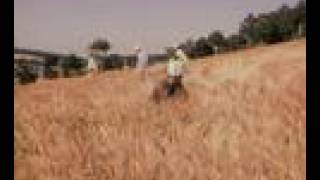 Hasat Hacı Bayram-I Veli - 610