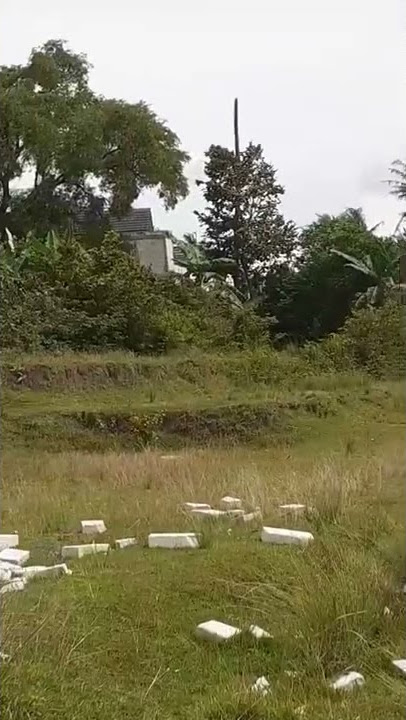 tangan keri liat angin sepoy² 😂