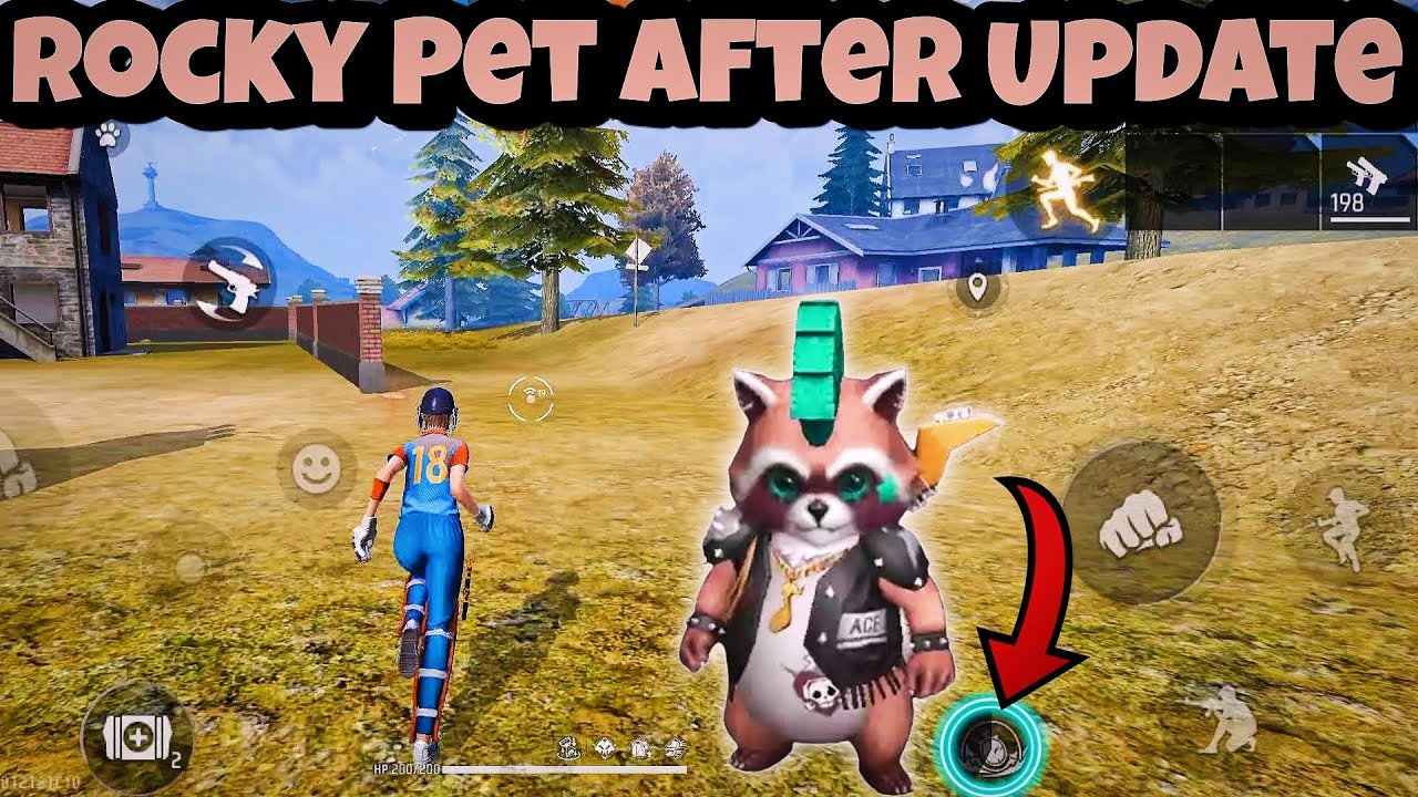 Rocky Pet Ability Test After Update | Rocky Pet Ki Ability Kya Hai | Rocky Pet Ability Test
