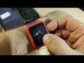 Amazfit Bip S - Почти обзор и впечатления...