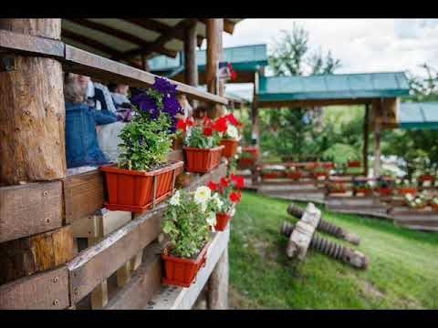 Petrecere Moldoveneasca 2019 cu Muzica moldovenească moldovenii 2019