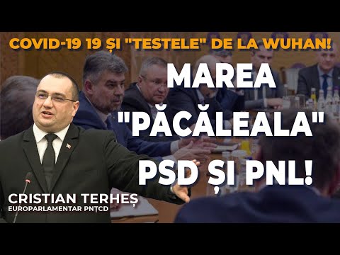 Video: Despre costurile planificate pentru GPV 2018-2027. Este lanțul prea mic?