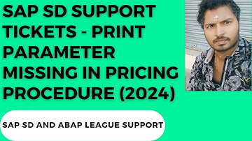 SAP SD Support tickets - Print parameter missing in pricing procedure (2024)