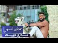 عدنان السهل تدري حبك اوديو حصري 2020