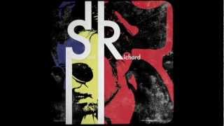 SoulRichard - A Queda