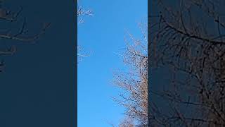 U.S. Air Force zwischen Bitburg und Ahrweiler? - Vulkaneifel März 2026