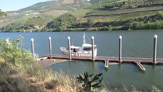 27.3. Ferrão, Covas do Douro, Sabrosa, Vila Real. Portugal