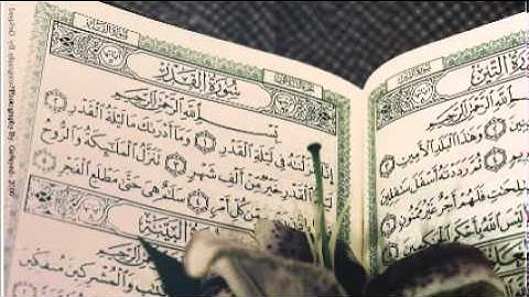 سورة القارعه وليد الدليمي قراءة عراقية