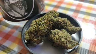The Hemp Cartels Delta 8 Flower Granola Funk strain review! Exotic indoor grown! 💯🔥⚡