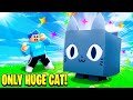 So I Tried Beating Pet Simulator X With ONLY A HUGE CAT... (Roblox)