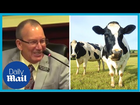 Idaho lawmaker compares women's health to 'milking cows'