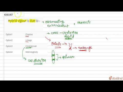 Hybrid vigour is due to -