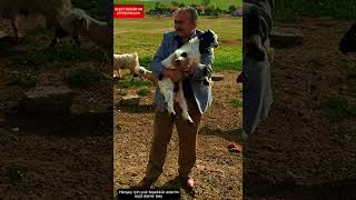 Demiroğulları Çiftliği Yaşar Ve Reşit Demir Misafirperverliğinden Ötürü Teşekkür Ediyoruz