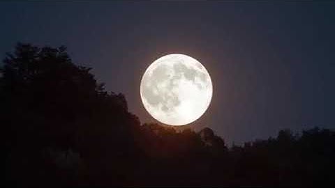 ( فإذا برق البصر ، وخسف القمر ... ) | القارئ : ياسر الدوسري