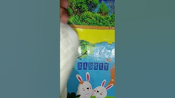 d el ed 4th sem question paper -4.2 Diversity Gender and Inclusive Education#scert d el ed 4th sem