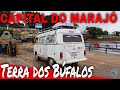 CHEGANDO EM SOURE A CAPITAL DO BÚFALO NA ILHA DE MARAJÓ # 930 @Nois Pelo Mundo [Oficial]