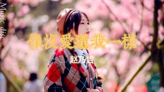 像沒愛過我一樣—趙乃吉「你放開手的模樣像沒愛過我一樣那些美好的回憶都被你遺忘」【動態歌詞/ PinyinLyrics】♪