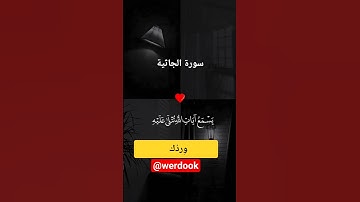 سورة الجاثية من الآية 8 إلى الآية 11 ( أكتب شيئًا تؤجر عليه )