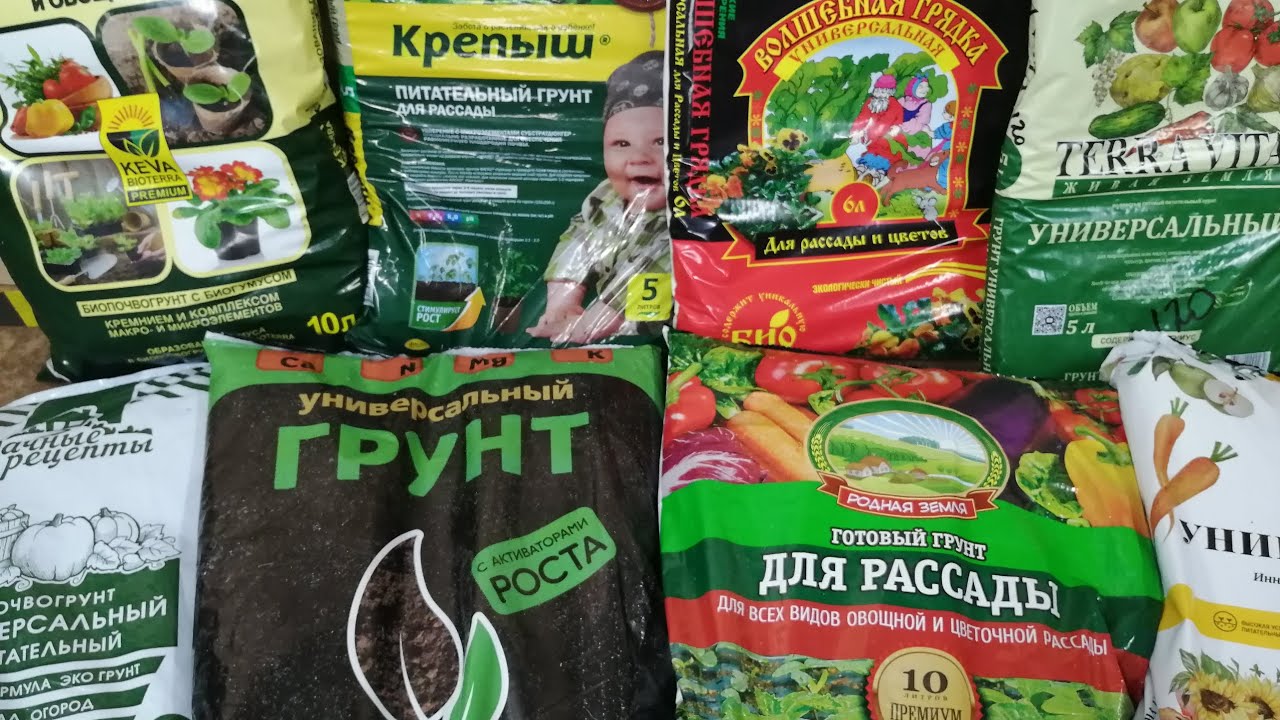 Кто живет в грунте для рассады? Тест 8 экземпляров