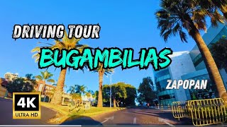 Spectacular  Bugambilias Drive Exclusive Guadalajara  Suburb  4k Driving Tour 