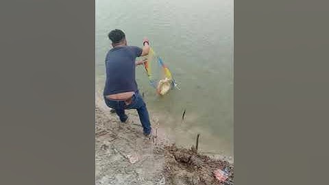 Câu cá chép, trôi. hồ đá bàn, bắc tân uyên, bd