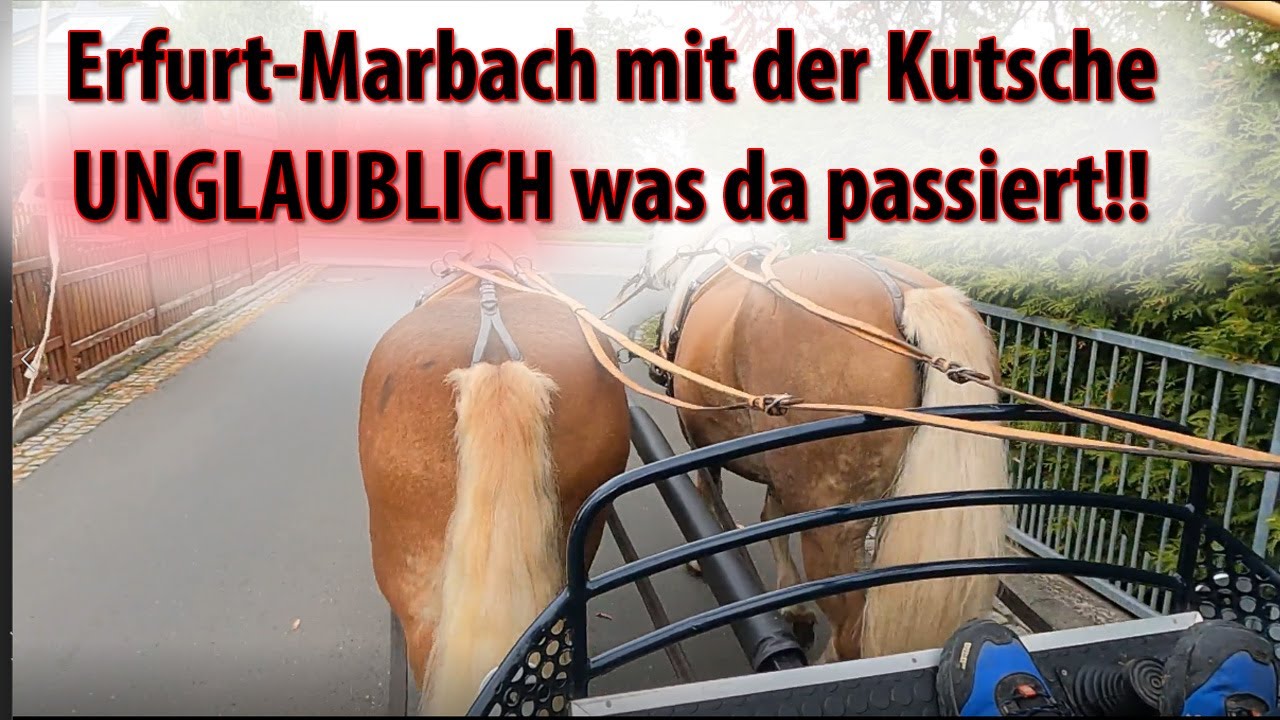 Kutschfahrt durch den neuen Teil von Erfurt Marbach