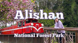 let's explore alishan 🚂  taiwan vlog 2023 by Adventures of Awkward Amy 5,580 views 9 months ago 19 minutes