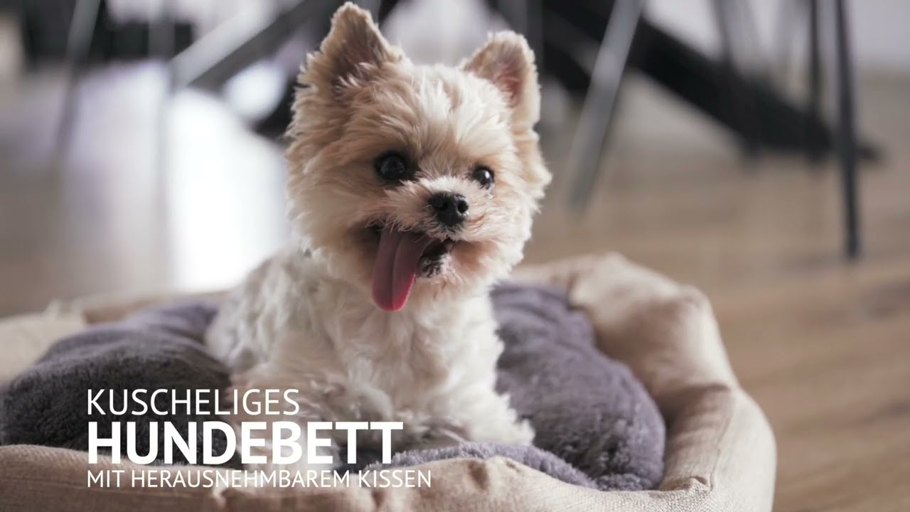 PETSTUFF® Hundebett Hundekissen Katzenbett Katzenkissen von Maxstore