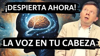 Acelera tu Evolución: Claves para Profundizar el Cambio de Conciencia